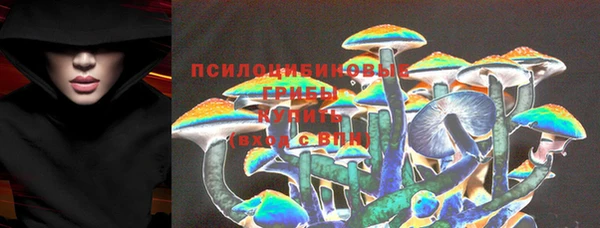прущие крисы Верхний Тагил